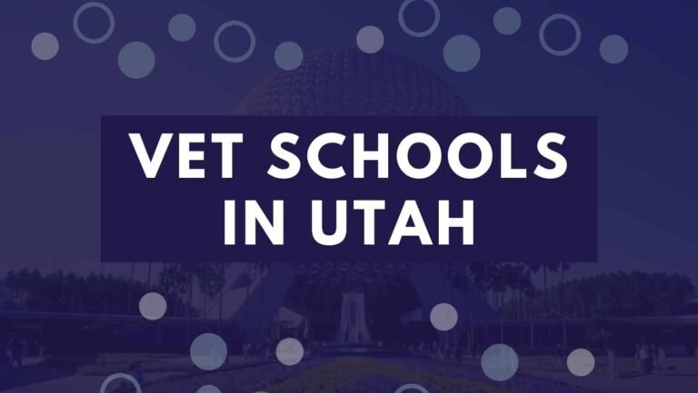 6 Vet Schools In Utah 2022 | How To Get Into Utah Veterinary Colleges.