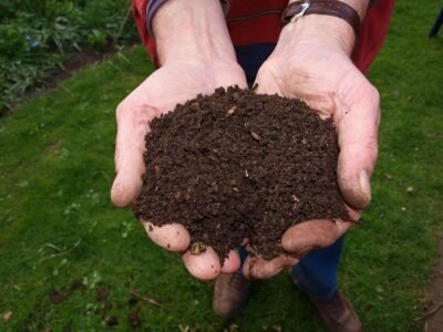 Composting For Beginners 2022| What You Need To Get This Black Gold
