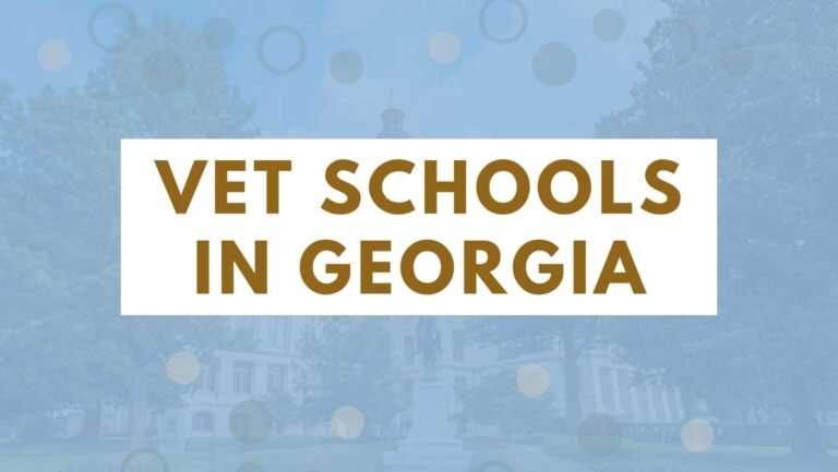 10 Vet Schools In Georgia 2022 | Enroll into Georgia Veterinary Colleges