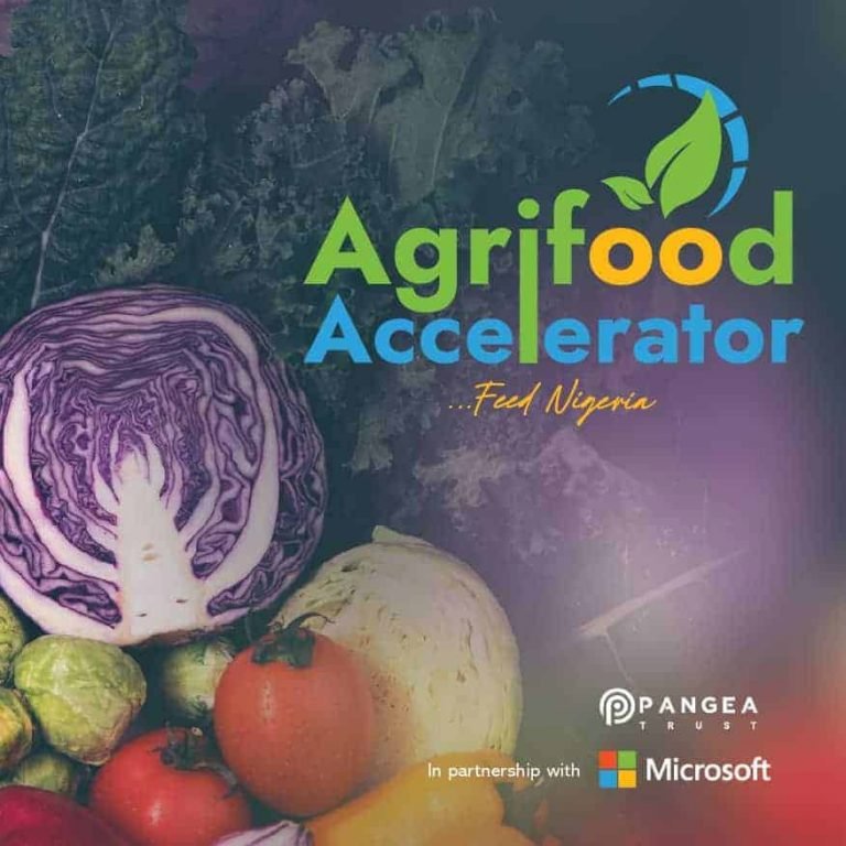 Microsoft and Pangea Trust Agri-food Accelerator Program 2022