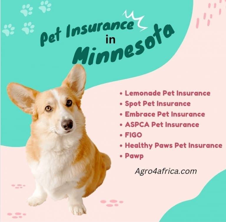 7 Best and Cheapest Pet Insurance Companies In Minnesota