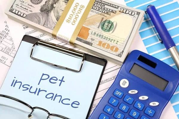 best and cheapest pet insurance companies in California