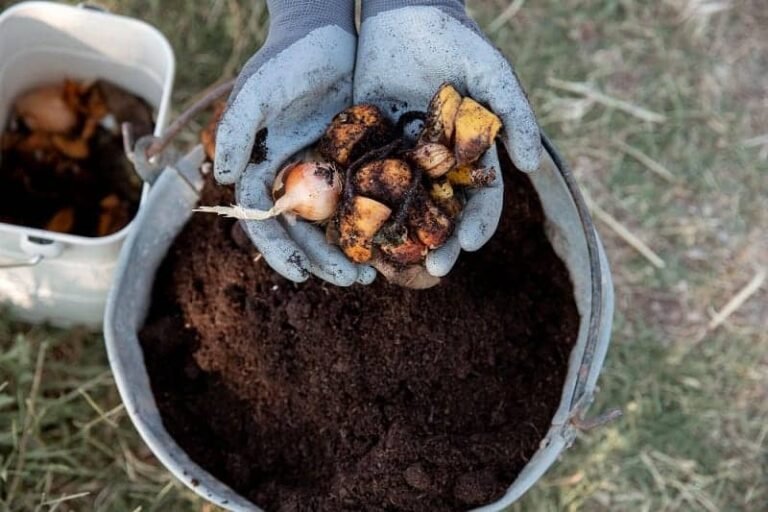 4 Easy Methods of Composting For Beginners (With Materials Needed)