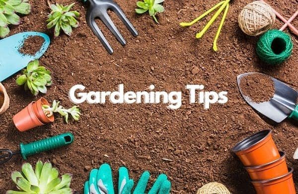 top-view-gardening-tools-ground. Gardening tips and tricks
