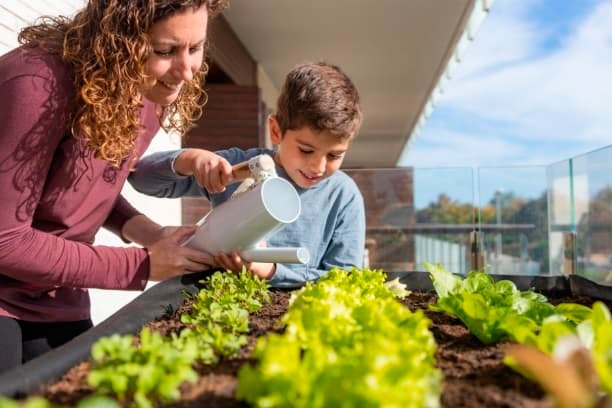 Urban Farming: 4 Easy Steps to Start and Maintain a Garden in the City