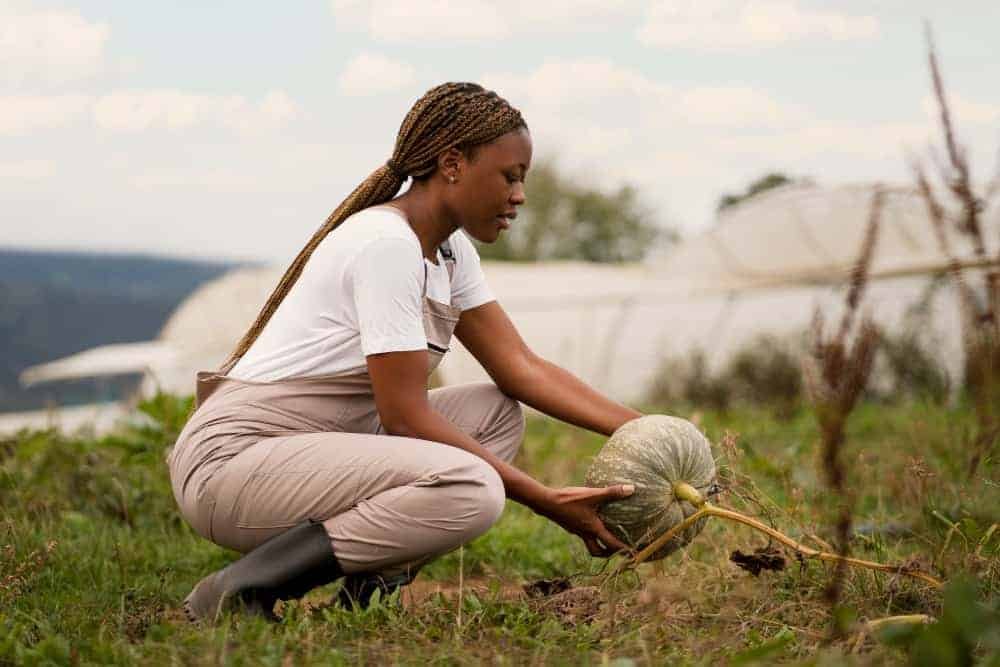 peasant woman adopting Better agriculture practices