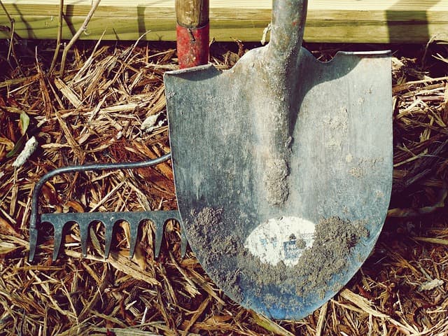 The Best Farming Tools: What You Need to Start and Grow a Farm